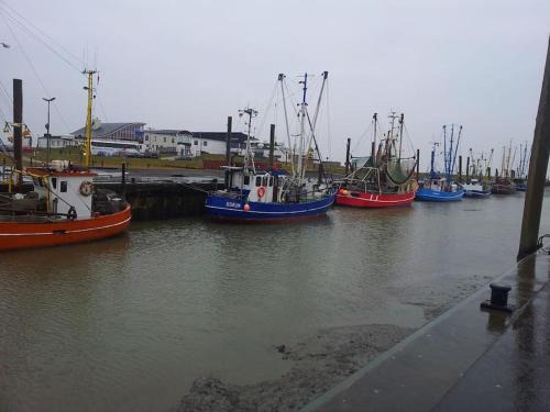 Wurster Nordseekuste Apartamento | Nordsee und Natur. Gemütliche Fewo mit Deichblick