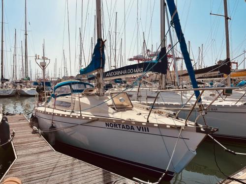 Lisbon Alquiler De Eote | Nortada Central Boat Escape