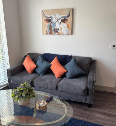 The Colony Apartamento | North Texas vacation get away!