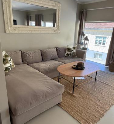 Notodden Apartamento | Notodden Sentrum Apartment NO 2