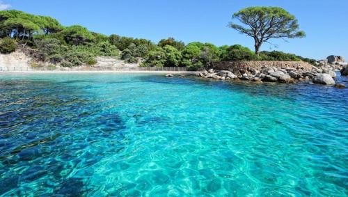 Santa-Maria-Poggio Apartamento | NOUVEL LOCATION d'un Bel appart T2 climatisé et meublé au RDCh avec piscine dans residence les Melody