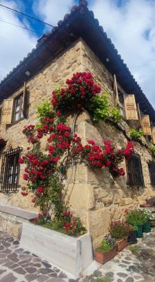 Luriezo Casa | Nuestra casa de Luriezo