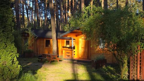 Sierakow Complejo | Ośrodek Moje El Dorado - domki letniskowe