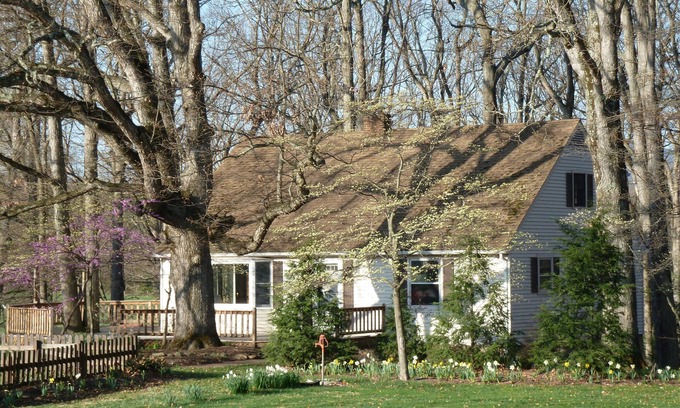 Lyndhurst Casa | ¡Nuevo en el mercado de alquiler! Oak Tree Cottage, un refugio en el bosque de Virginia Central