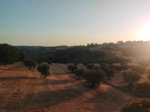 Scapezzano Apartamento | Oasi verde
