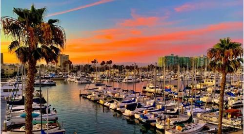 Del Rey Apartamento | Oasis 2 bedroom minutes to the marina
