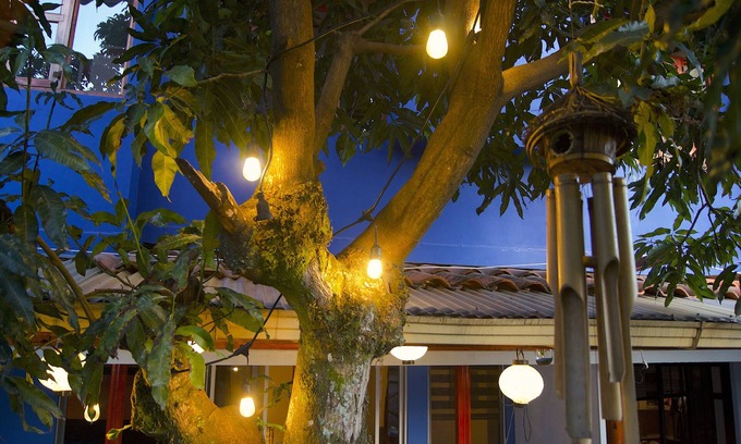 San Francisco Apartamento | Oasis en la ciudad apartamento C