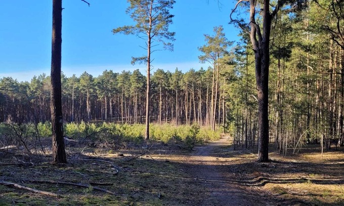 Baruth/Mark Apartamento | Oasis of peace Waldblick