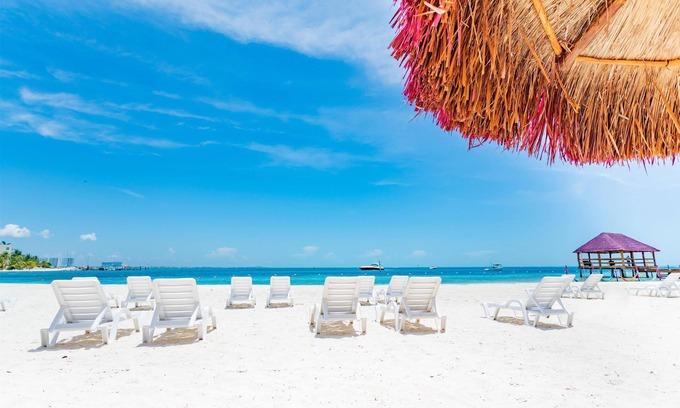 Zona Hotelera Complejo | Oasis Palm - All Inclusive