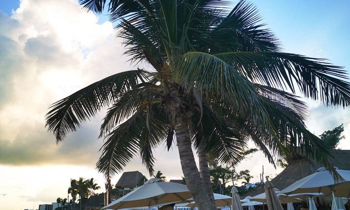 Luis Donaldo Colosio Hotel | Ocean Front Boutique