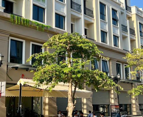 Van Giang Apartamento | Ocean Park - 14 Giường Đôi - Sunny Residence