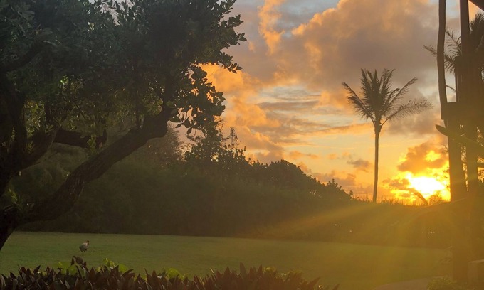 Lihue Condominio | Ocean view 2 bedroom centrally located condo. Steps from the ocean!