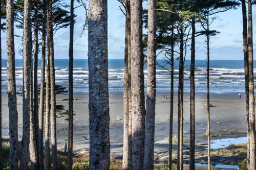 Seabrook Casa | Oceanaire by Seabrook Hospitality