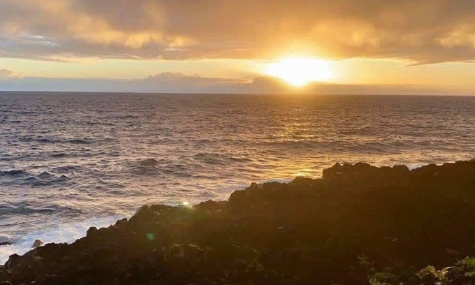 Kapoho Apartamento | Oceanfront studio see whales and dolphins