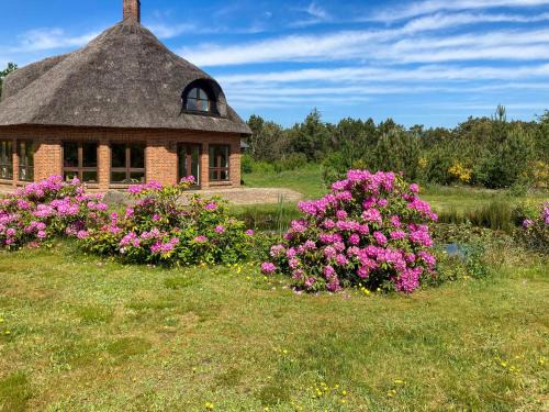 Skalstrup Casa | Octagonal Thatched Forest House Near Herning