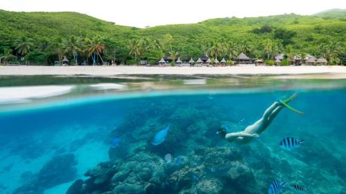 Nalauwaki Complejo | Octopus Resort