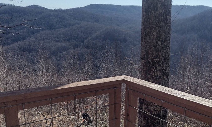 Saluda Cabaña | Oden’s Lookout at Valhalla Mountain- Studio Cottage