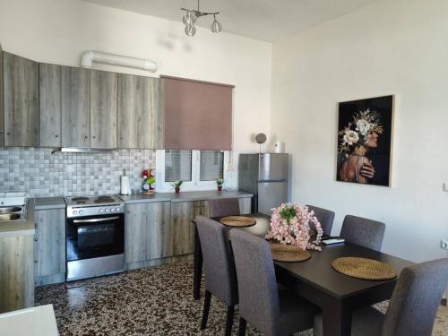 Logothetianika Apartamento | Odysseus family house
