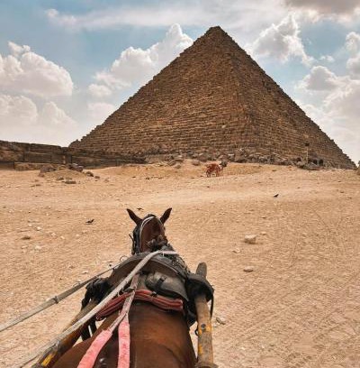 Al Haram Hotel | Of Pyramids