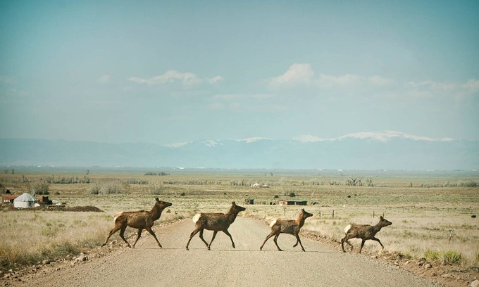 Crestone Casa | Off Grid at Baca Wildlife Refuge: Star Gazers Paradise