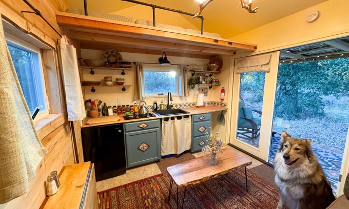Warner Springs Cabina | Off Grid Petfriendly sanctuary surrounded by ancient oaks with fenced yard.