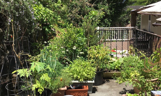 Kalihi Valley Casa | Ohana Home TA-174-591-3856-01 TMK 140010570000