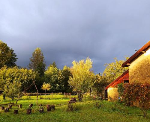 Saint-Etienne-d'Orthe Casa | Ohikoa