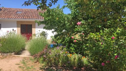 Castelo de Vide Casa | Ola Linda - Casa de Campo -