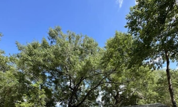 Fort McCoy Cabina | Old Glory at The Tree'Ke Resort - Cabin #1