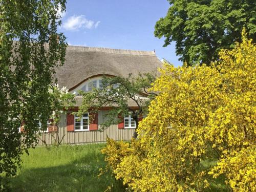 Wieck auf dem Darss Casa | Old shipman's house Comfortable holiday residence