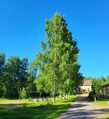 Rantasalmi Apartamento | Old village school