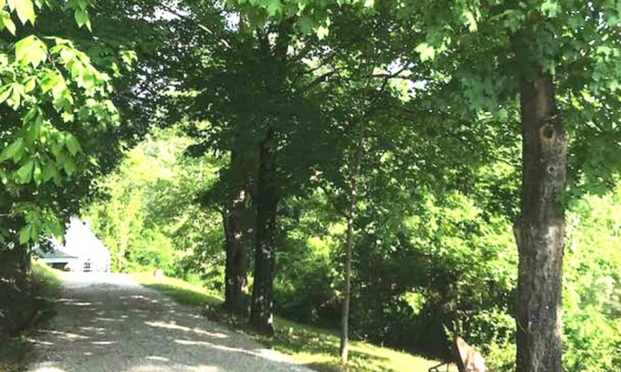 Cross Lanes Cabaña | Cabaña "Industrial-Rustic" Old Woodland Acres