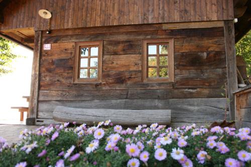 Brezice Casa | Oldhouse Knezovo
