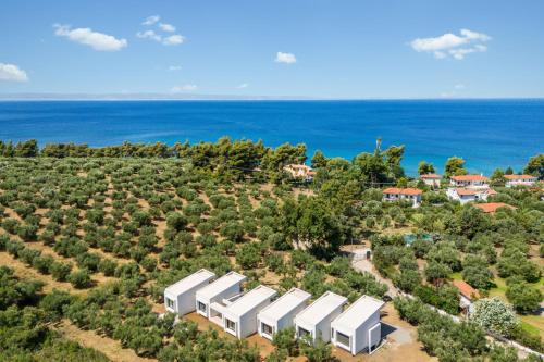 Elia Nikitis Apartamento | Olea Villas by halu!, Cozy villa in Nikiti