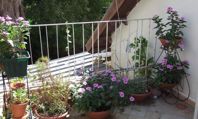 Katzrin Apartamento | Olga Katz apartment