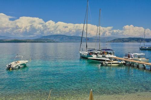 Agni Apartamento | Olgas Cottage: Stone house on the beach