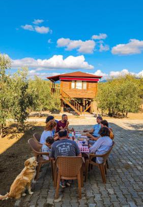 Zeytinli Otro | Oli Camping & Bungalows