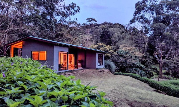 Quebrada Grande Casa | Olingo Monteverde