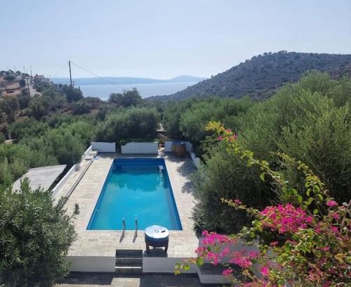 Agia Galini Villa | Olive Grove Serenity villa