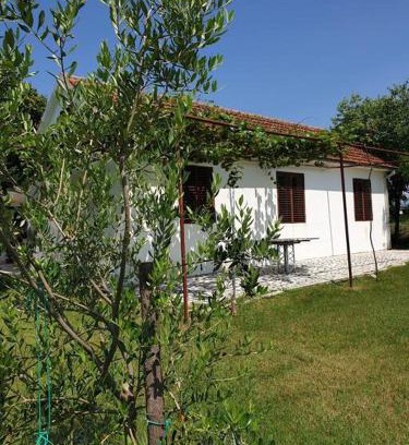 Mahala Apartamento | Olive house (near the airport)