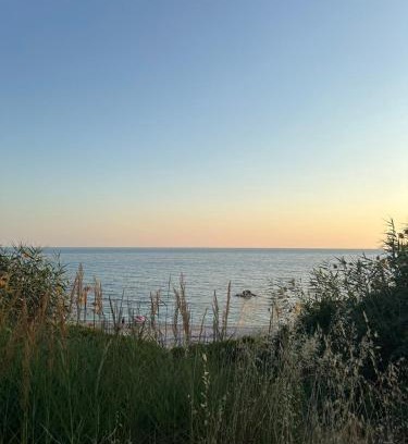 Zalongo Casa | Olive House Seaside