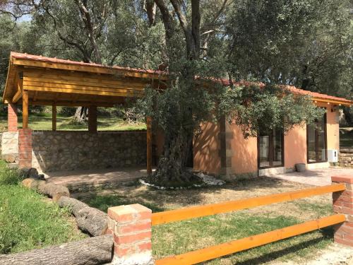 Ulcinj Cabina | Olive Paradise