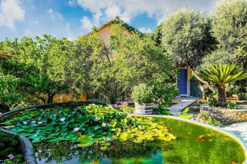 Kantanos-Selino Apartamento | Olive tree Cottages