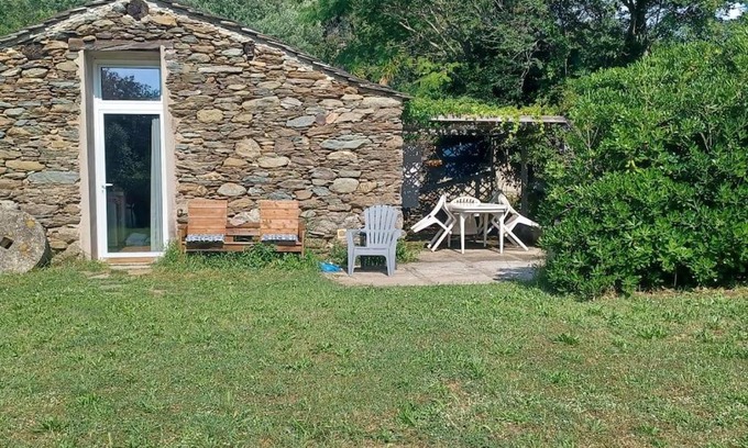Sisco Casa | Olivetu
