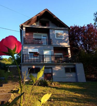 Banostor Apartamento | OLOR Apartman 2 - Banoštor