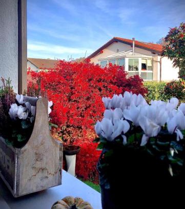 Lausanne Apartamento | Olympia by the lake