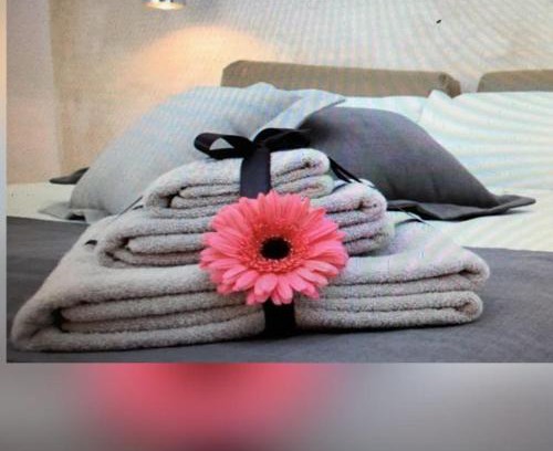 Mesagne Cama Y Desayuno | OLYMPUS PARK amnesia