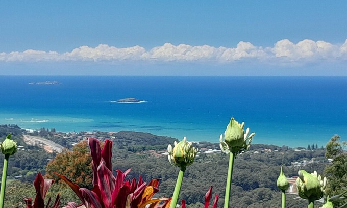 Korora Apartamento | ON TOP OF THE WORLD Garden Studio Panoramic Ocean Views, Close to Town & Beaches