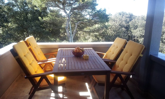 Silba Apartamento | Apartamento de una habitación con terraza y vista al mar Silba (A-17603-b)