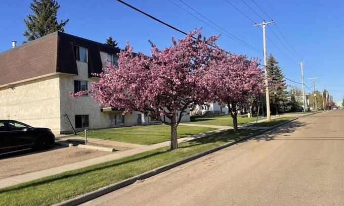 Camrose Apartamento | One Bedroom Main floor Apartment